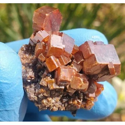 Natural Red Vanadinite SUPERB Crystal Specimen Morocco Healing Stone V12 • $249