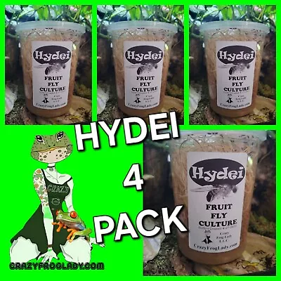 Hydei Fruit Fly Culture 4 Pack Reptile Dart Frog Food Live • $34.99