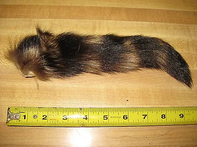  Tanned Raccoon Tail  Coon  Fur  Crafts # 2 Grade  • $5.64