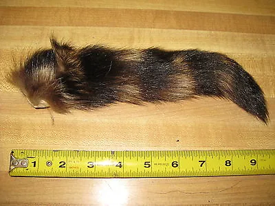  Tanned Raccoon Tail  Coon  Fur  Crafts # 2 Grade  ID Tag YELLOW • $9.64
