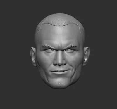 Randy Orton Custom Head For WWE RAW Wrestling Action Figures • $13.71