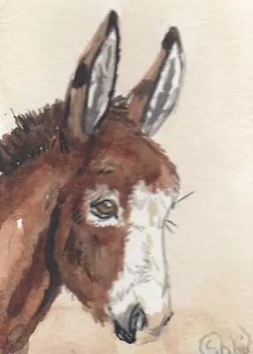 ACEO Original Watercolor Art Card HORSE Cousin Brwn Minimal Spotted Donkey Foal • $6.50