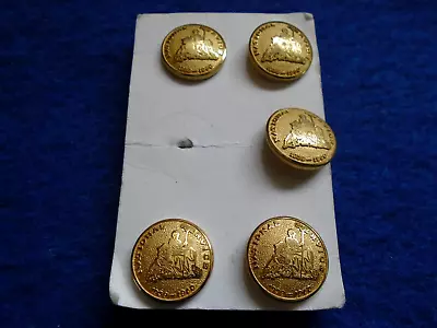 £17 • Buy 1939-1960 British National Service 15mm Gilt Buttons