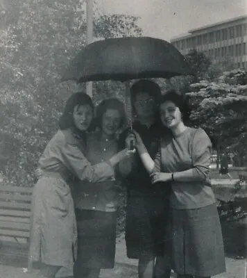 #023 PHOTO VTG ORG BW 60s Four Ladies Under Umbrella Females Women • $17