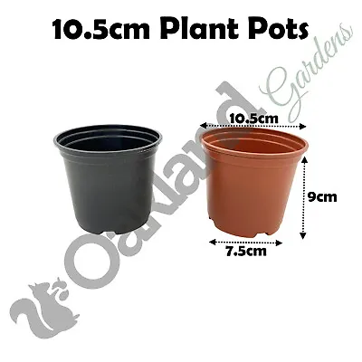 Plant Pots 9cm 10.5cm 13cm ( 1 Litre ) Plastic Tall Full Size Flower Pot Seeds • £8.75