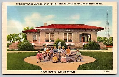 Postcard Unique School Mooseheart Illinois Fountain Of Youth A3 • $9.25