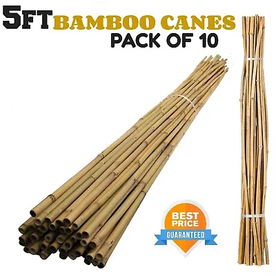 10 X 5FT Bamboo Canes Heavy Duty Garden Stake Strong Thick Support Plant Stick • £9.99