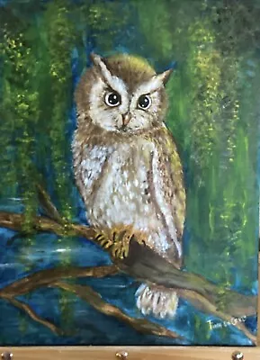 Original Artist Signed Owl Painting Acrylic On Canvas  • $68