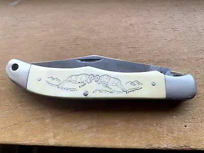 $20 • Buy Schrade SC500 Rams Bighorn Sheep Scrimshaw Folding Knife Vintage USA
