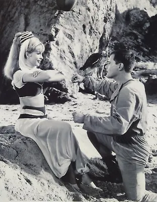 8x10 BW PHOTO I DREAM OF JEANNIE LARRY HAGMAN BARBARA EDEN • $3.98