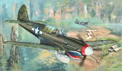 1/32 Trumpeter P40N Warhawk Fighter • $66.81