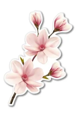 Magnolia Branch Car Laptop Phone Vinyl Sticker  - SELECT SIZE • £3.75