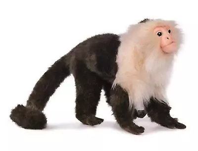 HANSA Real Stuffed Capuchin Monkey No.5851 20cm BH5851 • $42.75