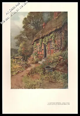£5.49 • Buy 1912 A COTTAGE GARDEN By Wilfrid Ball Original Lovely Color Print   