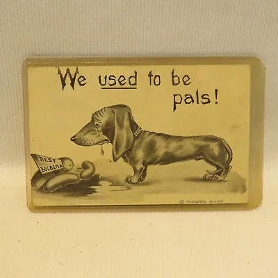 1910 Dachshund Dog Sausage Bologna Comic Humor Artist Impression Moss Postcard • $8.87