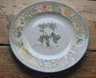 £9 • Buy Wedgwood Garden Maze Plate 1996 - 10  Daisy Priory