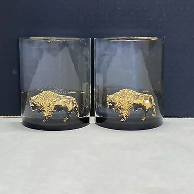 Vintage Unique Canada Lucite Acrylic Bison Buffalo Bookends • $45