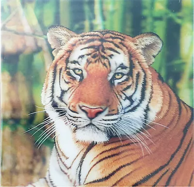 Happy Birthday Card - 3D Depth Effect Holographic Keepsake - Tiger • £2.59