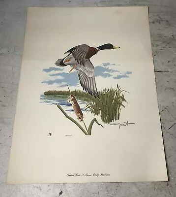 Vintage Wood And Stream Wildlife Illustration Litho Print Mallard Duck Grant • $13.45