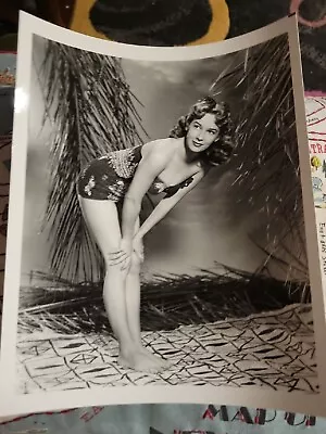  Vera Miles Irving Klaw Archives Movie Star News Vintage Photo 8x10 1970s #9 • $8.99