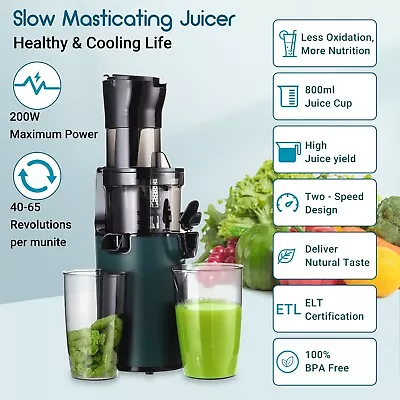 Fruit Juicer Slow Juicer Vegetable Processor Cold Press Two-speed No Noise 200W • $80.79