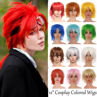 Male Cosplay Wig Women/Men Anime Short Wig Party Straight Hair Cosplay Full Wigs • $14.33