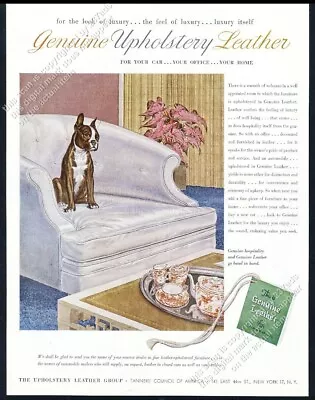 1952 Boston Terrier Art Upholstery Leather Group Vintage Print Ad • $9.99