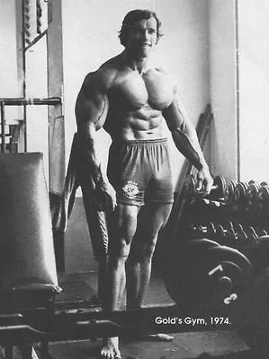 Arnold Schwarzenegger Bodybuilding Photo Poster Print Wall Arnie Mr Universe 01 • £4.18