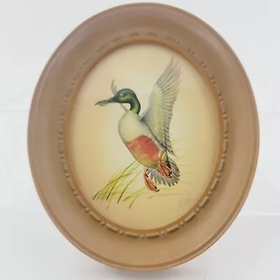 Vintage Oval Framed Wild Duck In Flight  By E. Serton Litho • $15