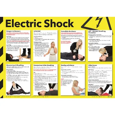 £22.33 • Buy Health And Safety 420x594mm Electric Shock Poster FA551