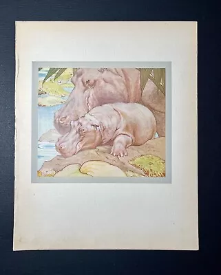 Antique BEAUTIFUL Book Plate From Children’s Book HIPPO MOM & BABY Animal Art • $29.99