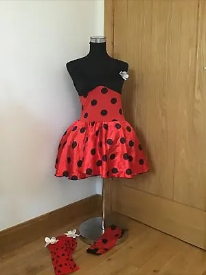 Ladies Fancy Ladies Ladybug Ladybird Fancy Dress Costume Dressing Up Halloween • £11.99