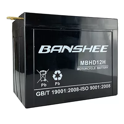 Banshee Replacement YHD-12H Sealed AGM Motorcycle Battery • $180.55