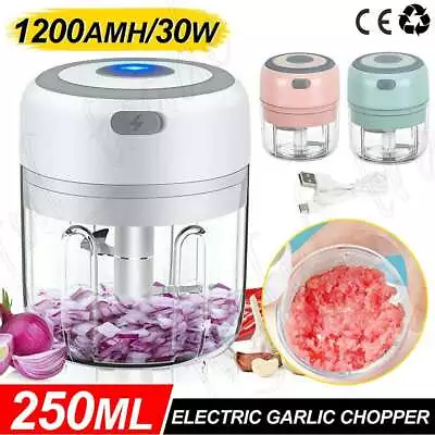 250ML Electric Garlic Grinder Food Chopper Vegetable Chopper Blender Crusher AU • $12.65