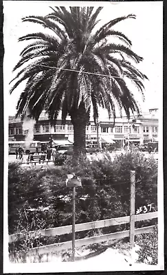 Photograph Modoc Dentist Cigars Signs Long Beach Los Angeles California Photo • $6