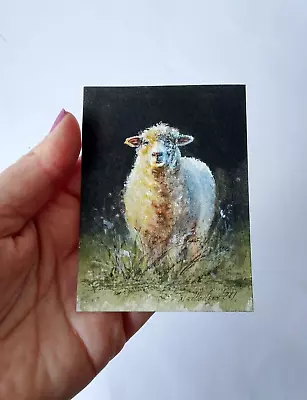 Original Not A Print ACEO Watercolour Miniature Signed. Sheep .Collectable. • £8