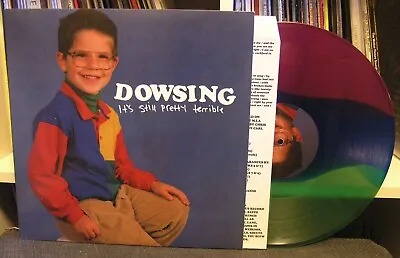 $49.99 • Buy Dowsing  It's Still Pretty Terrible  LP NM Snowing Pet Symmetry Into It Over It