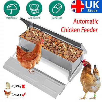 5KG Automatic Treadle Chicken Feeder Poultry Self Opening Ratproof Waterproof • £23.50