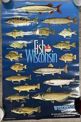 Vintage Fish Wisconsin Virgil Beck Fishing Poster 22 X 34 • $39.99