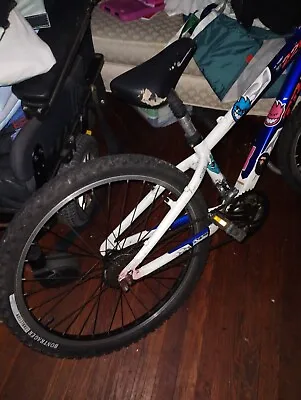 Mountain Bike  • $100