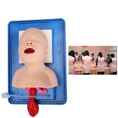 $84.55 • Buy Intubation Manikin Study Teaching Model Newborn Airway Management Trainer Model