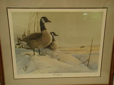 Mario F. Fernandez  The Migrants  Wildlife Print • $79.99