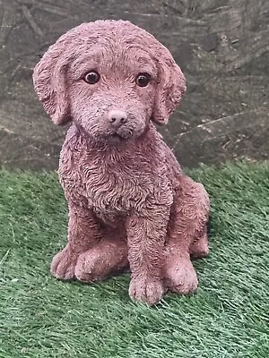 Latex And Fibreglass Cockapoo • £60