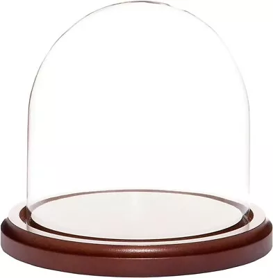 PLYMOR 5.5  X 5.5  Glass Art Display Dome Cloche With Walnut MDF Base NEW NIB • $10