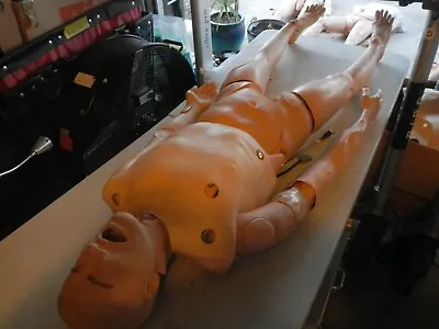 Laerdal  Training Manikin 211 H ~ Medical Training  VERY NICE   USA # 5 • $500