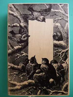 Multiple Birds On Tree Branches Detailed Image Large MAGENTA Rubber Stamp • $19.99