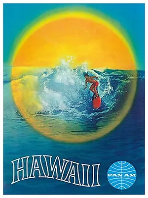 Art Hawaii Travel Poster Vintage Rare Hot New Original 12x16  TR96 • $13.99