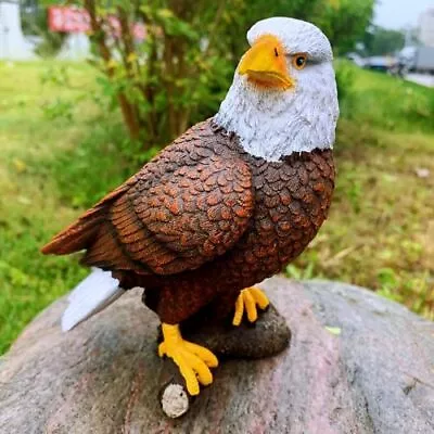 Mini Garden Statues Eagle Decor Outdoor Resin Bird Figurine Art Decorative  • $32.24