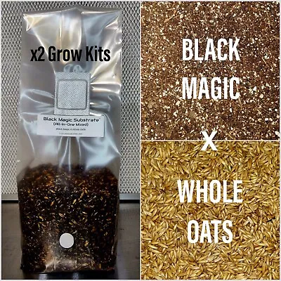 Premium Exotic Dung ALL-IN-ONE Mushroom Grow Kit 2 Pack Kit 3.5lb Mixed Bags • $59.99