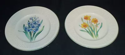 2 Mikasa Italian Countryside Floral 8 1/4  Salad Plates Daffodil & Hyacinth • $9.99